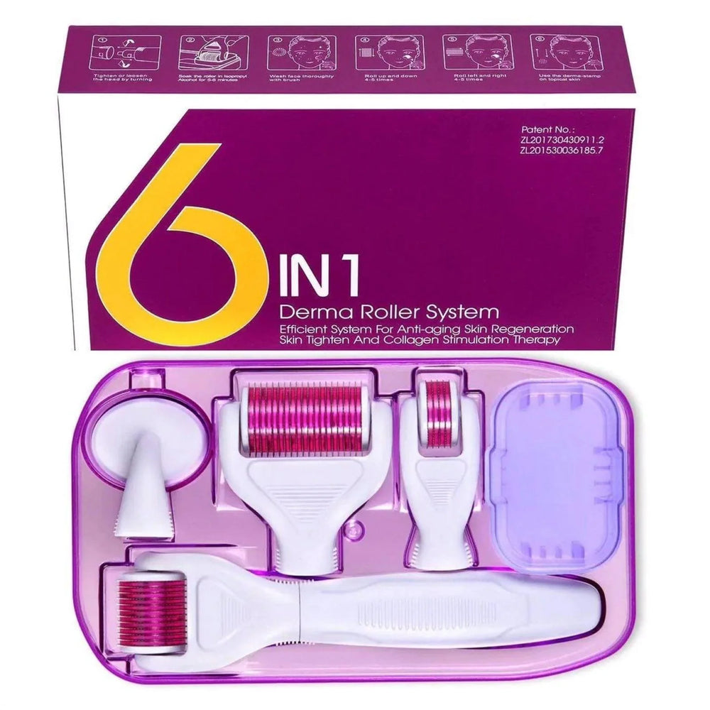 6 in 1 Derma Roller System