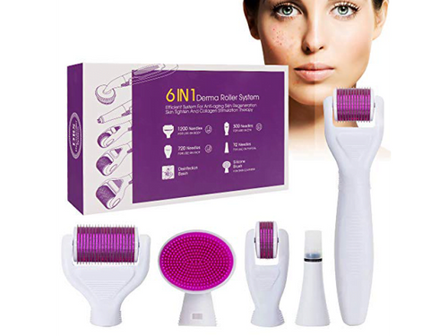 6 in 1 Derma Roller System