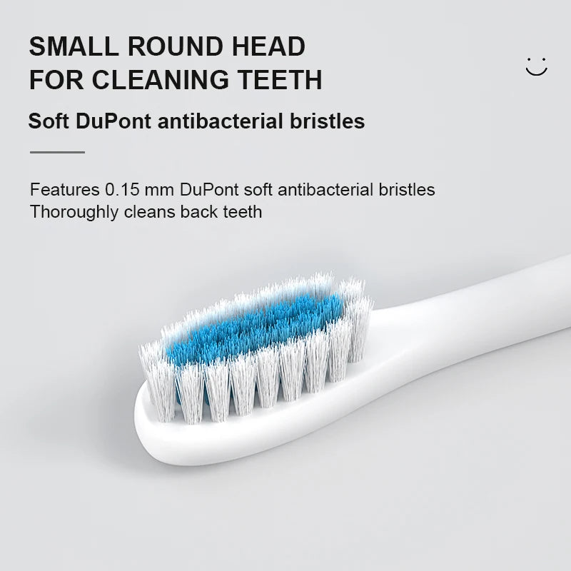 IPX7 High Quality Electrical Toothbrush Rechargeable High Frequency Vibration Toothbrush with 6 Modes