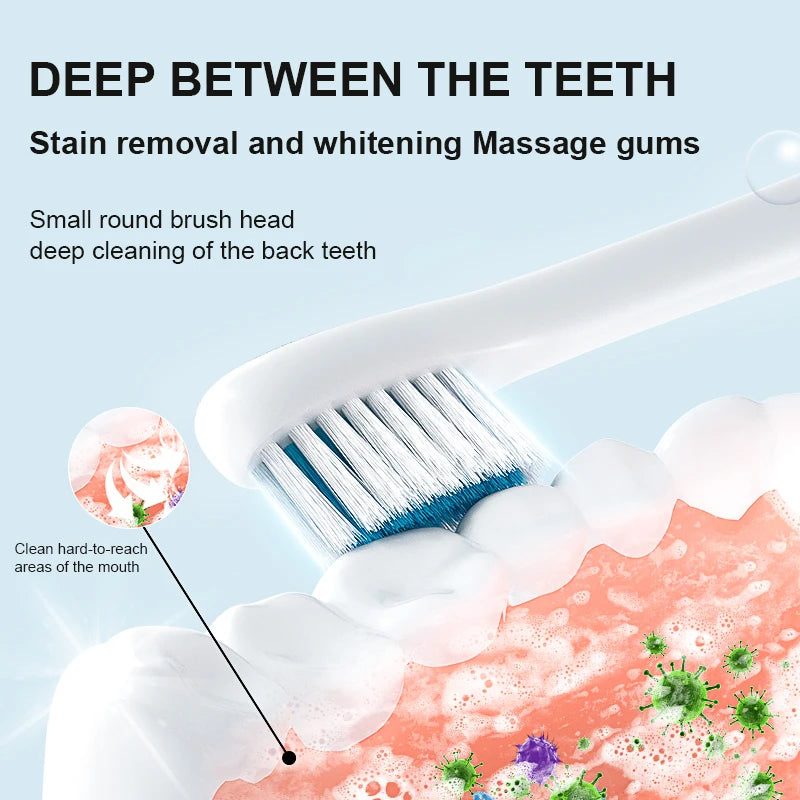 IPX7 High Quality Electrical Toothbrush Rechargeable High Frequency Vibration Toothbrush with 6 Modes